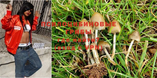 МДПВ Абаза