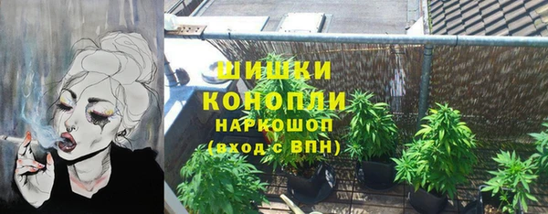 крисы Абдулино
