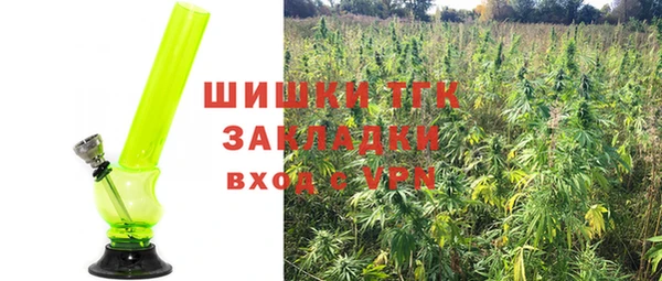 крисы Абдулино