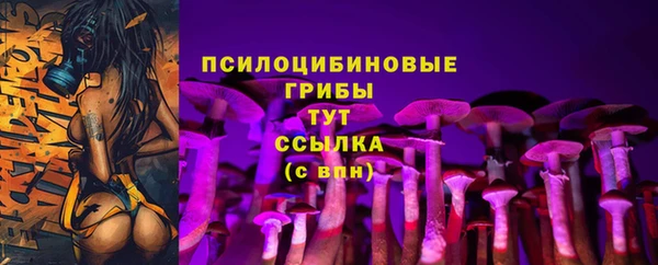 крисы Абдулино